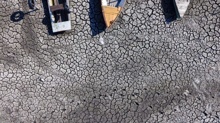 Macaristan'da aşırı sıcakların neden olduğu kuraklık tarıma ciddi zarar veriyor