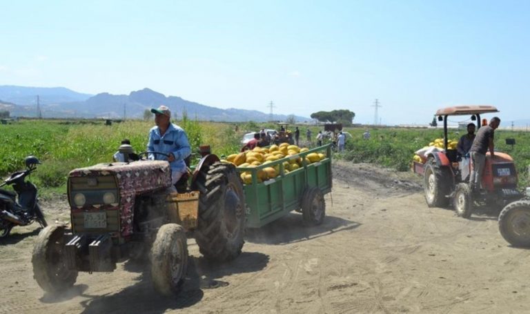 “Bize verdikleri fiyat baş belası” dedi: 600 ton kavun ve karpuzu bedava dağıttı – Son Dakika Türkiye Haberleri