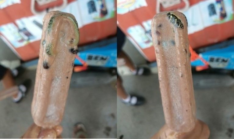 Şok edici görüntüler: Yılanın kalıntıları dondurmadan çıktı! – Son Dakika Dünya Haberleri