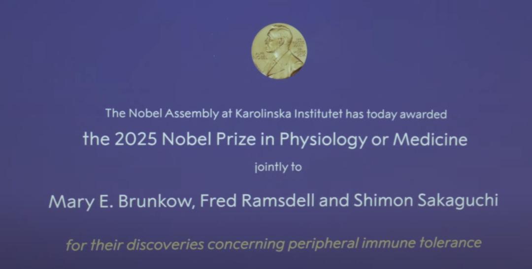 Nobel Tıp Ödülü 2025'in kazananları duyurdu! Nobel Tıp Ödülü 2025'i kim kazandı? 2
