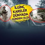 Yolun ortasını ağlarla kapattılar! Nedeni şaşırttı… Rus ordusu füze ve İHA yağdırırken Ukrayna’da dikkat çeken görüntüler