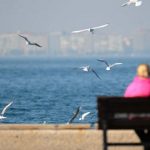 Hafta boyunca yağışsız ve kurak bir hava hakim olacak